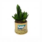 plante-grasse-cadeau-publicitaire