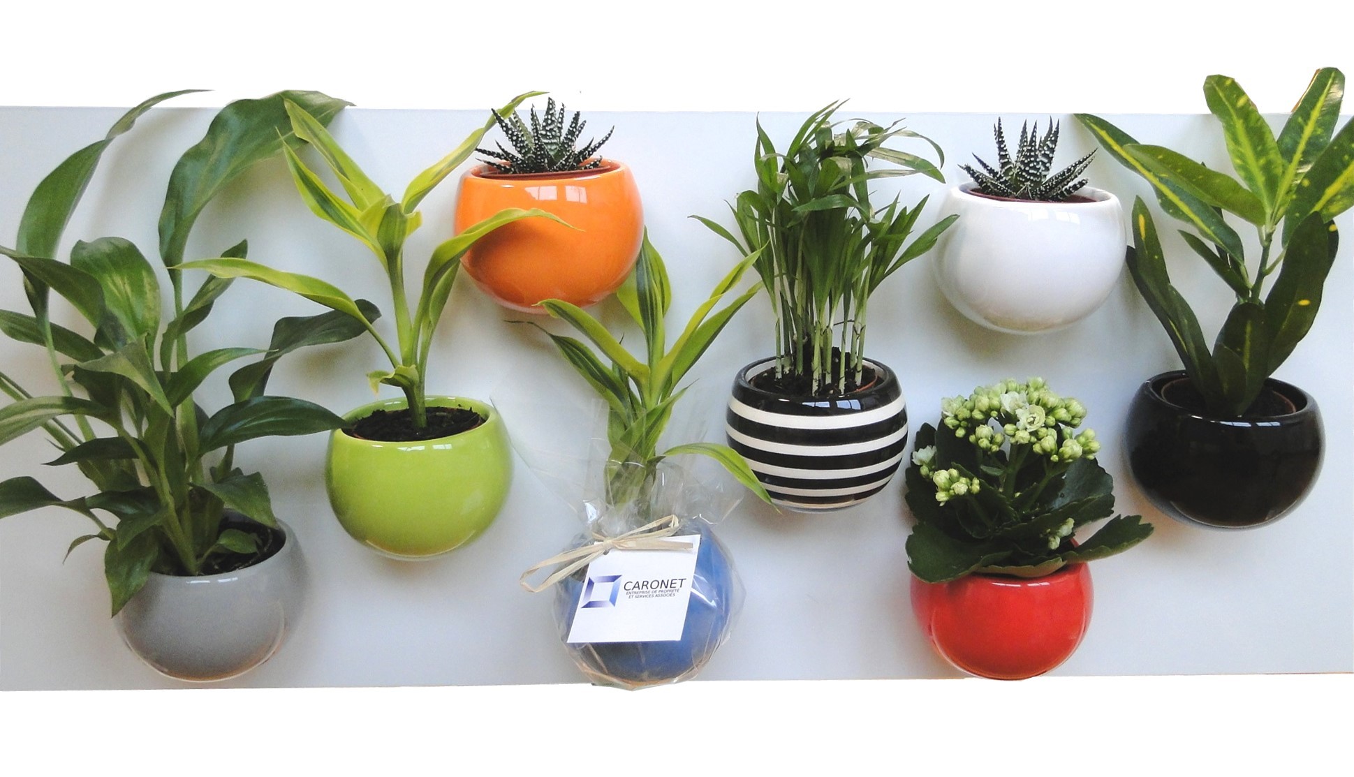 Plante publicitaire en pot aimanté céramique personnalisable