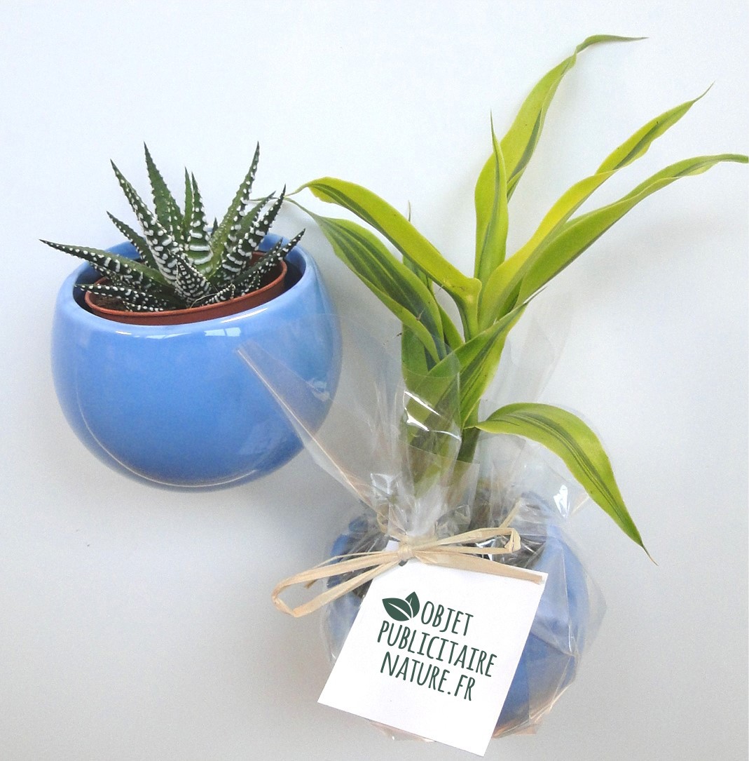 Plante publicitaire en pot aimanté céramique personnalisable