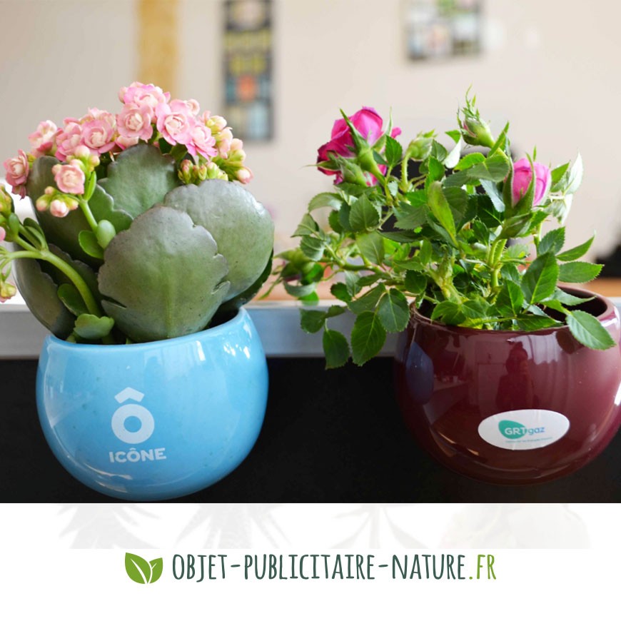 Plante publicitaire en pot aimanté céramique personnalisable