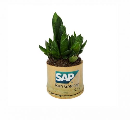 Plante publicitaire en pot bambou personnalisé par gravure ou adhésif