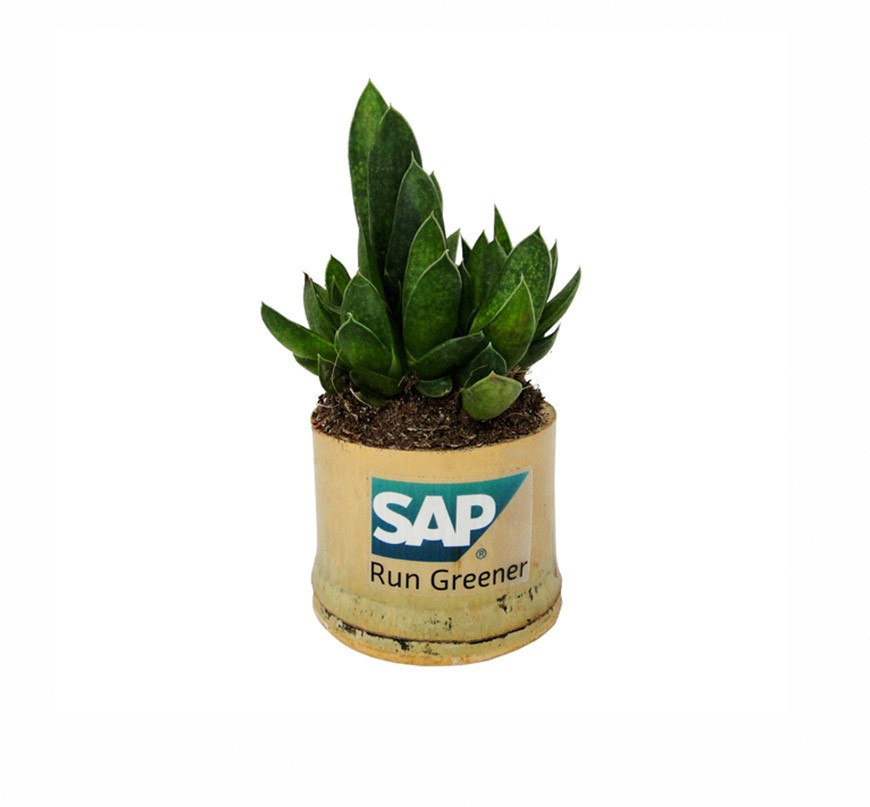 Plante publicitaire en pot bambou personnalisé par gravure ou adhésif