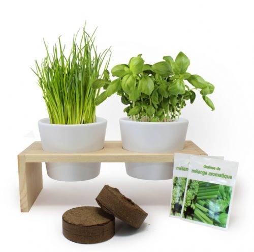 Plateau duo aromatiques - Kit de plantation publicitaire - Cadeau d'entreprise écologique