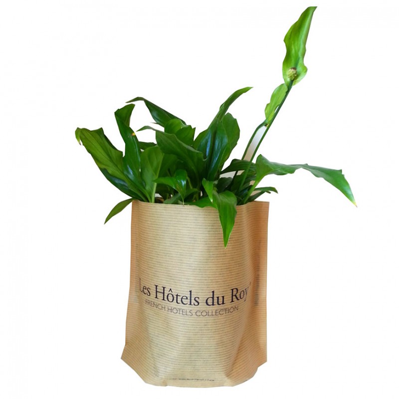 Sac de plantation kraft autoportant kit facile utilisation