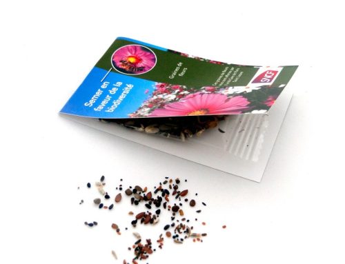 Sachet de graines personnalisé : Une Idée Originale de Goodies