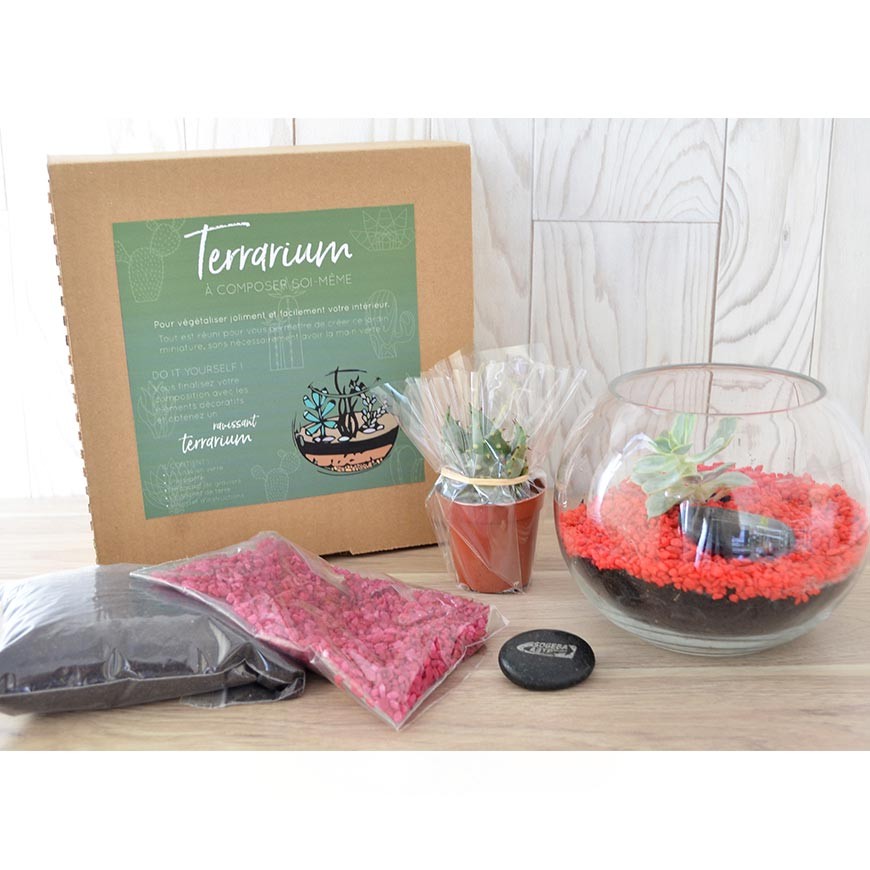 Terrarium mini-jardin publicitaire personnalisé - Petit modèle