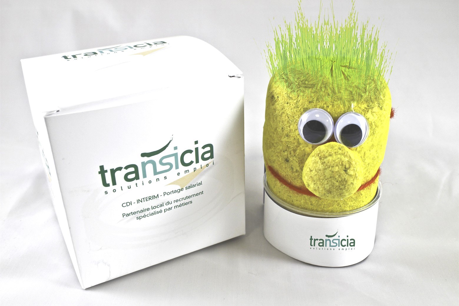 Tête avec graines de gazon publicitaire