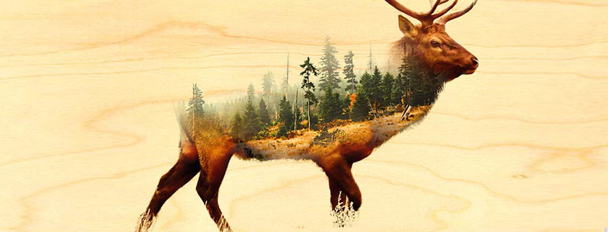 carte-en-bois-grand-format-300x300mm-bandeau Carte de voeux 2026 personnalisables