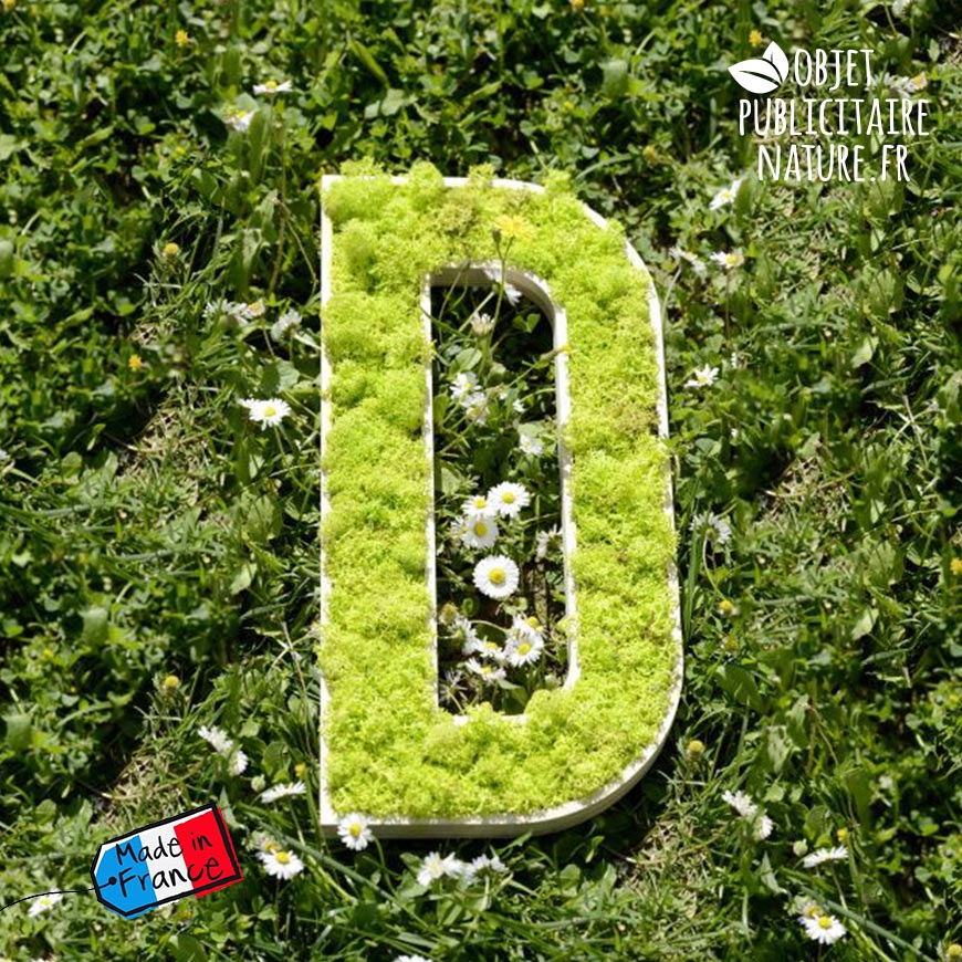 logo mousse naturelle sur bois