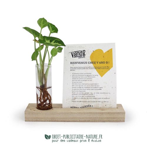 Plante en vase avec socle bois et carte à planter personnalisables