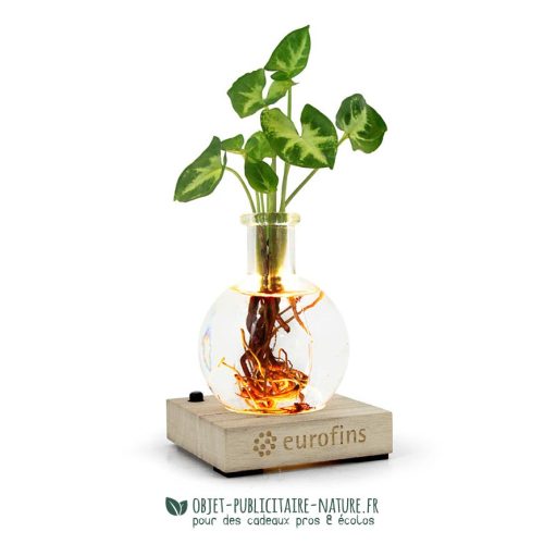 Plante en vase rond avec socle bois lumineux et personnalisé