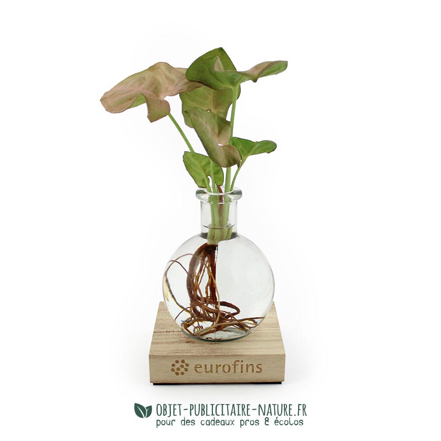 Plante en vase rond avec socle bois lumineux et personnalisé