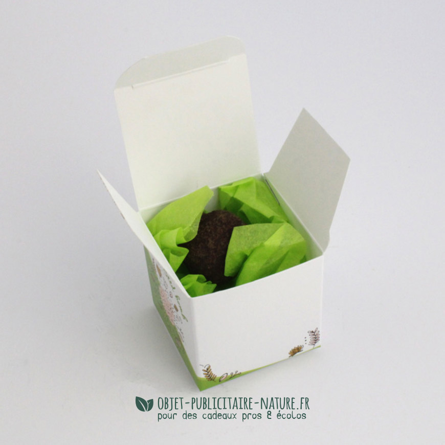 bombe à graines personnalisable et publicitaire