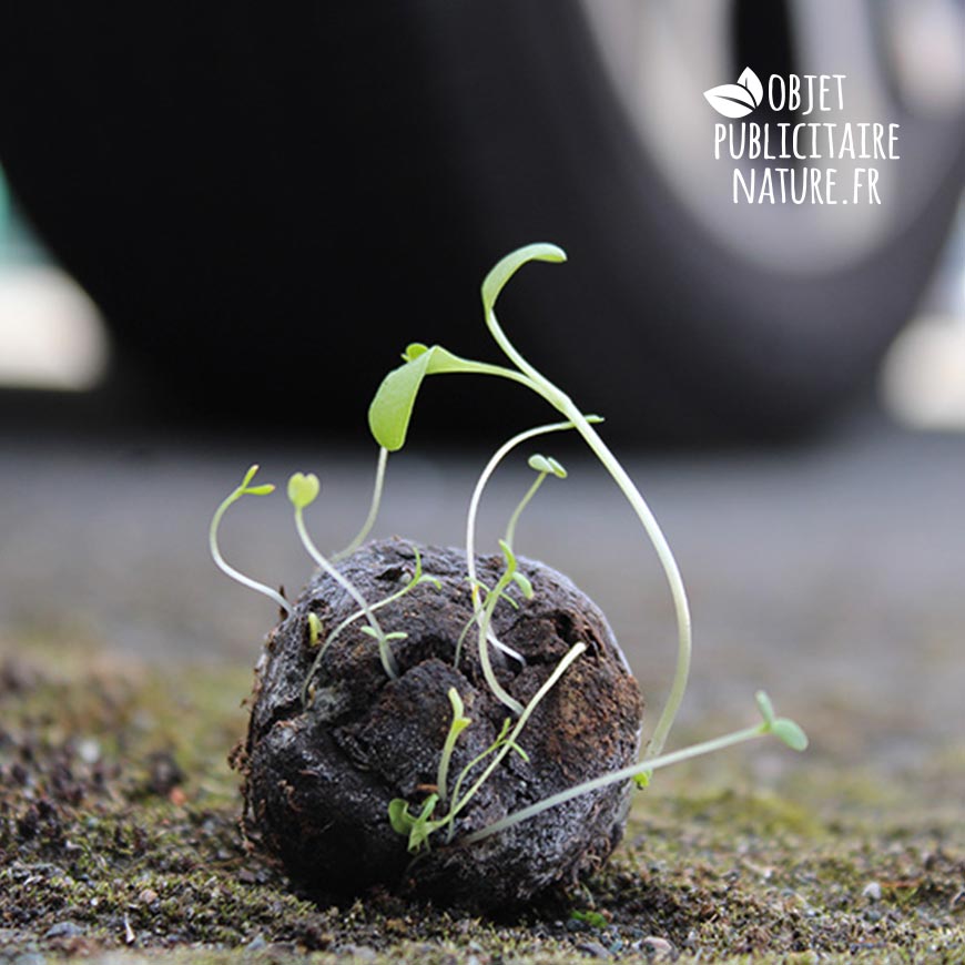 bombe à graines personnalisable et publicitaire
