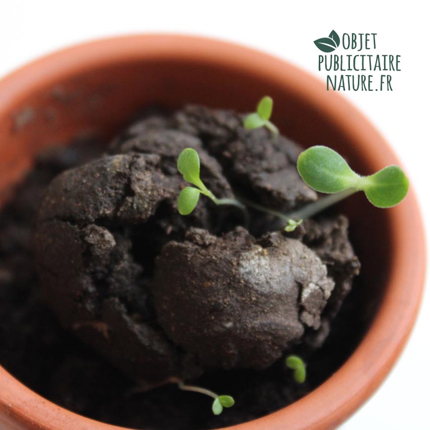 bombe à graines personnalisable et publicitaire