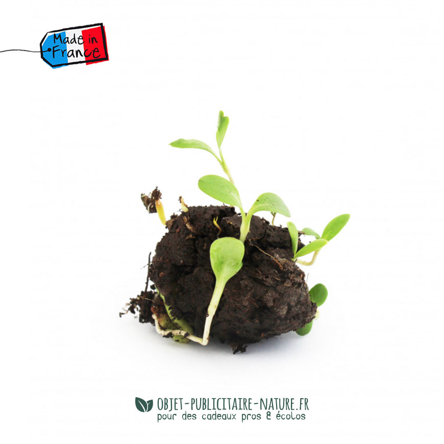 bombe à graines pochon jute personnalisable goodies rse