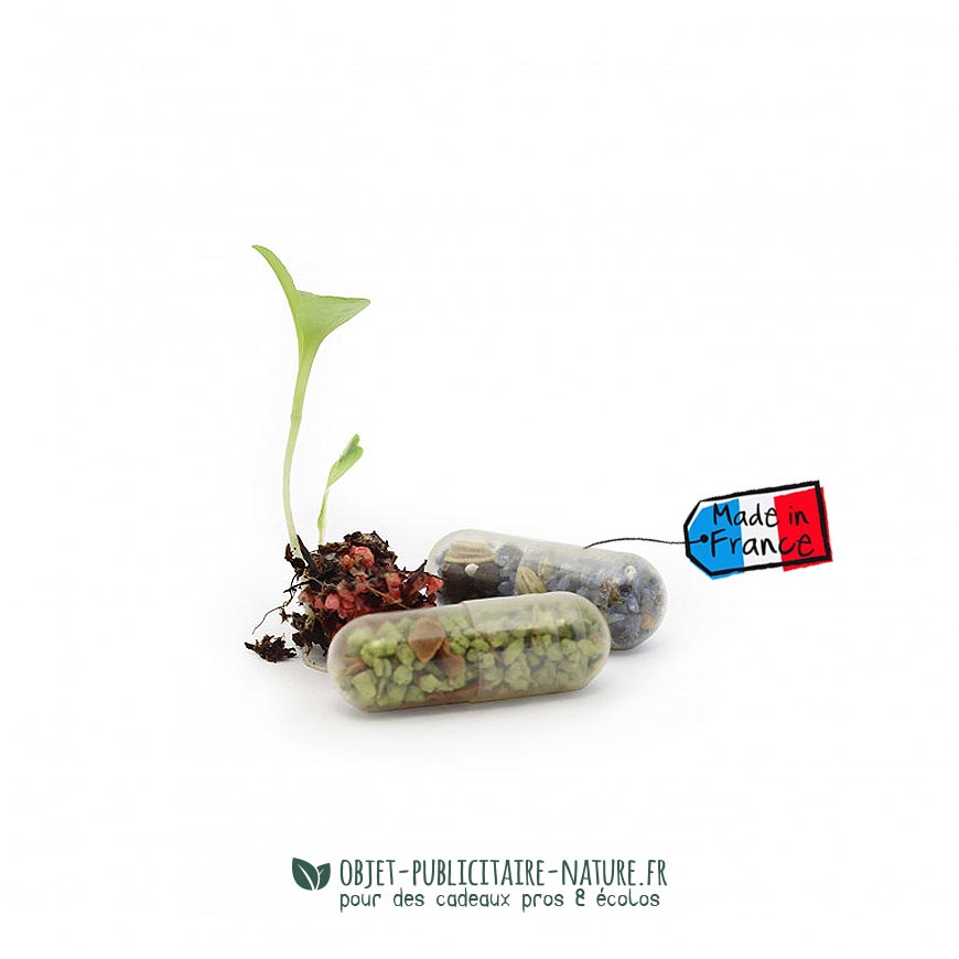 Gélule capsule à graines un goodies éco-responsable et écologique