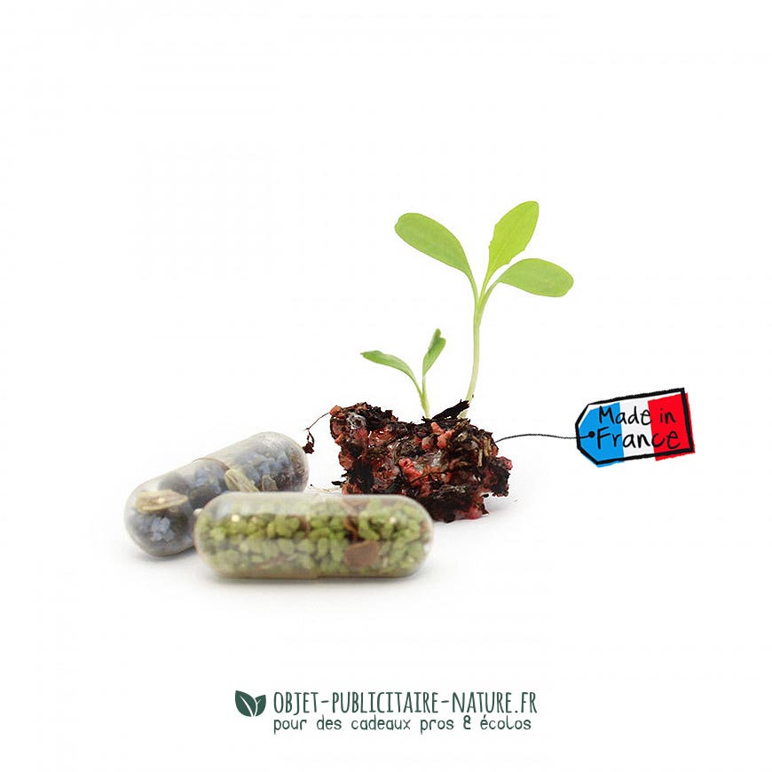 Gélule capsule à graines un goodies éco-responsable et écologique