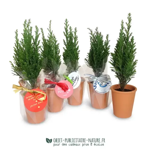 Mini sapin publicitaire dans pot en terre cuite personnalisable