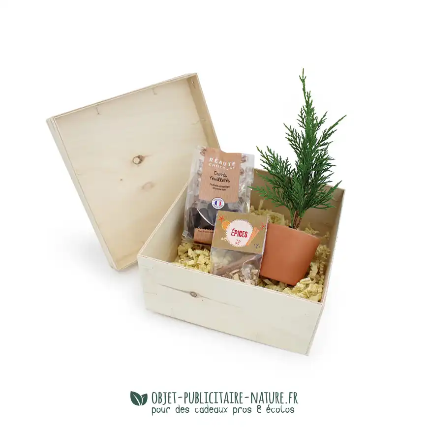 Coffret publicitaire avec sapin sachet chocolat et épices pour vin chaud