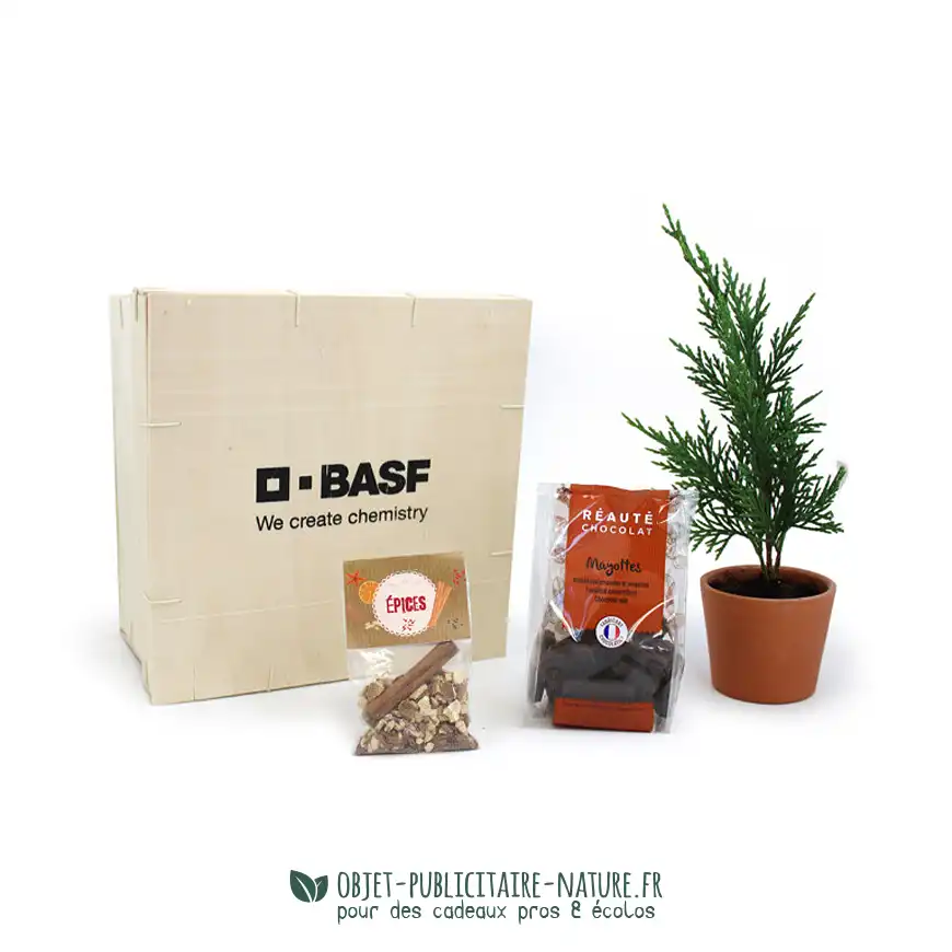 Coffret publicitaire à personnaliser avec sapin, sachet de chocolats et épices pour vin chaud