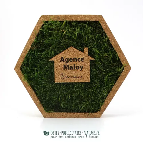 Cadre hexagonal en bois, mousse végétale et logo bois