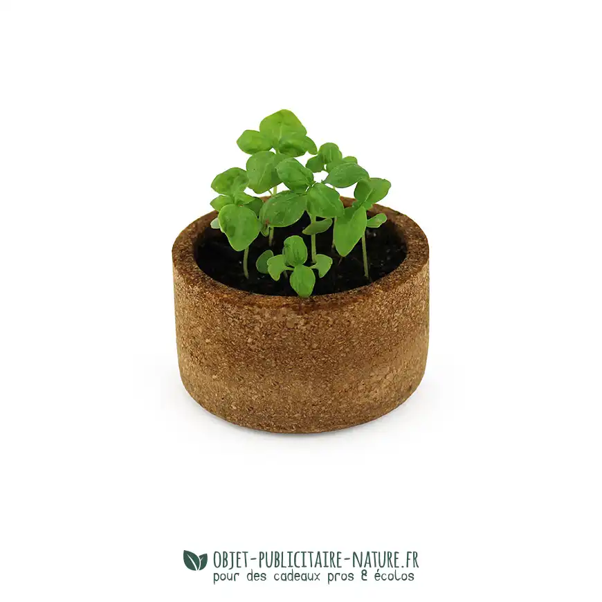 Kit de plantation avec pot en liège personnalisable