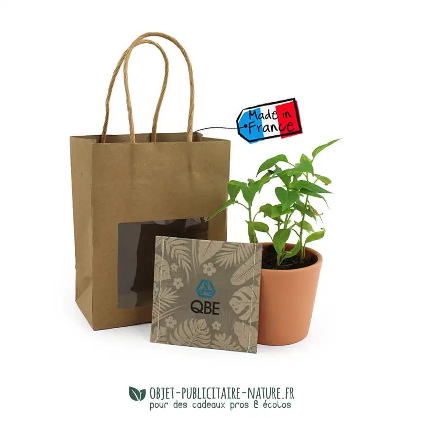 Kit de plantation pot en terre cuite avec sac kraft personnalisables