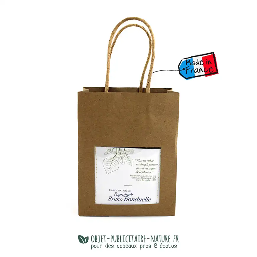 Kit de plantation pot en terre cuite avec sac kraft publicitaires