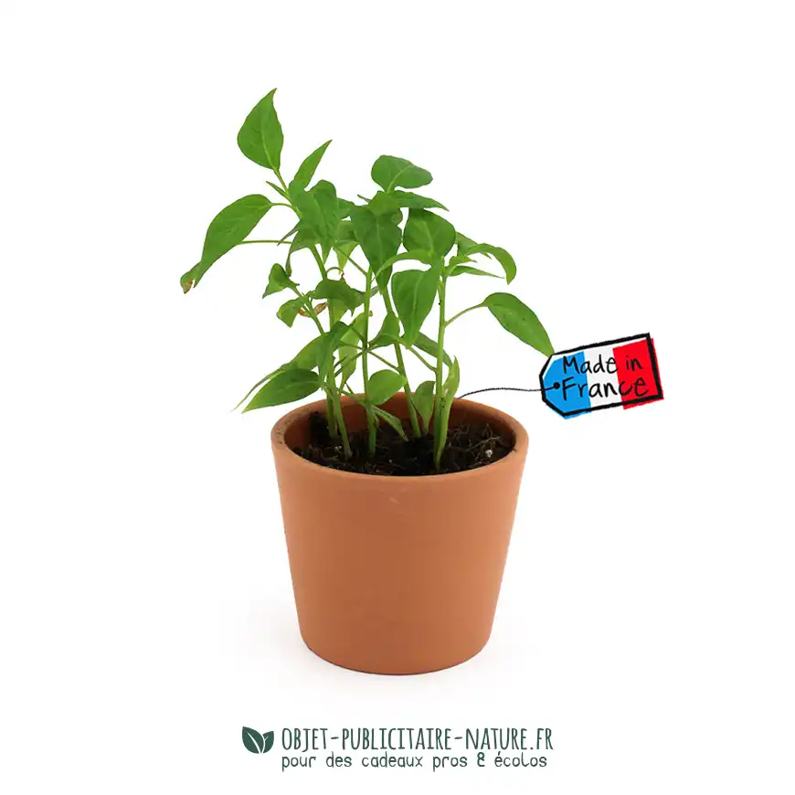 Kit de plantation pot en terre cuite avec sac kraft à personnaliser