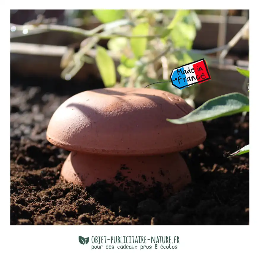 Olla avec son sachet de graines et notice cartonnée personnalisés