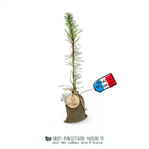 Plant d'arbre dans un pochon avec une médaille en bois personnalisable