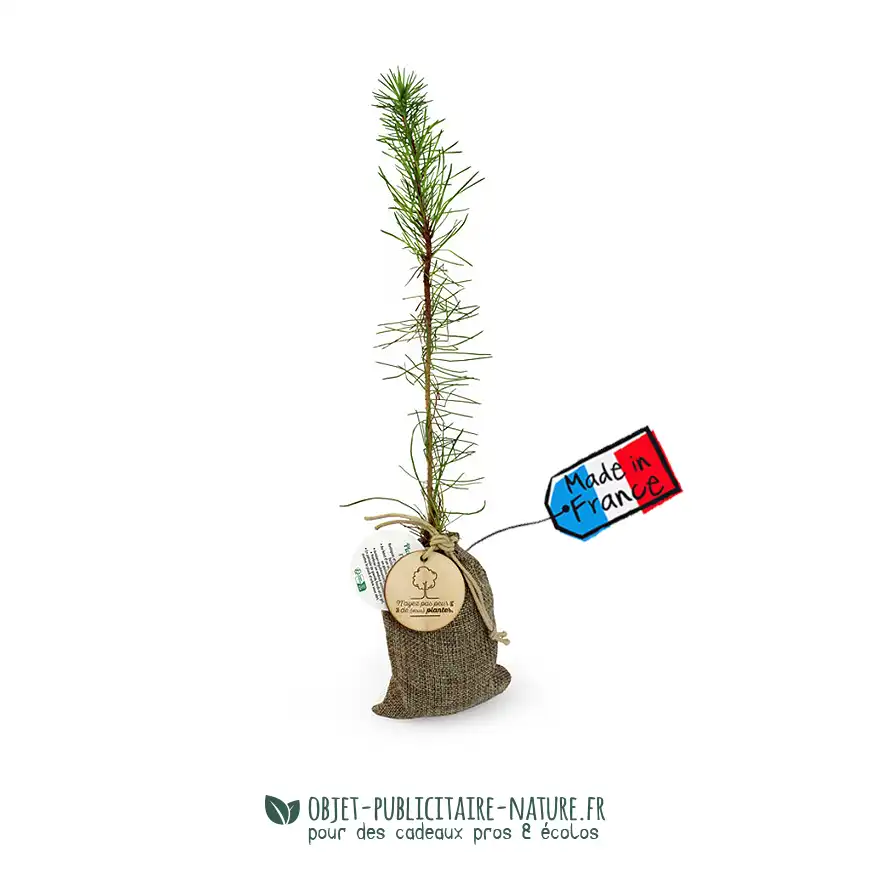 Plant d'arbre dans un pochon avec une médaille en bois personnalisable