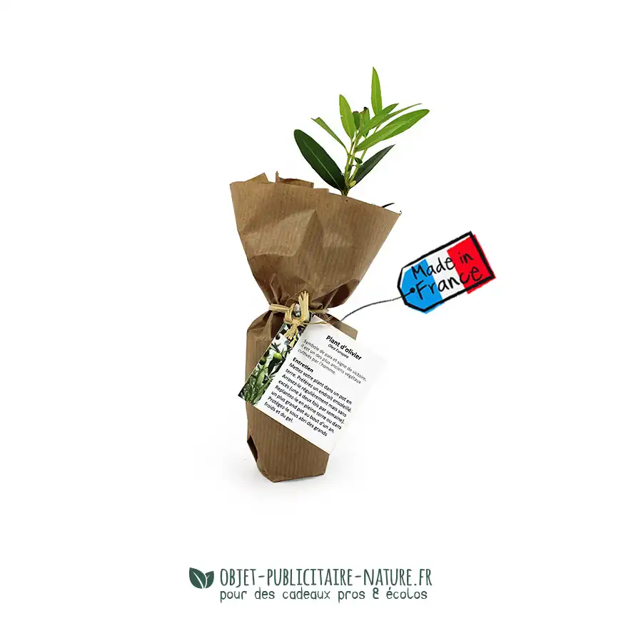 Plant d'arbre dans un pot en fibres de bois avec une étiquette à personnaliser