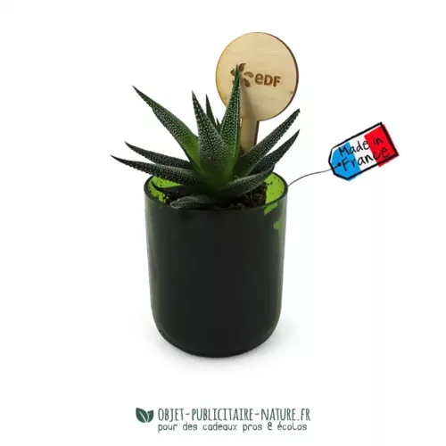 Plante dans un pot en verre recyclé avec un pic en bois à personnaliser
