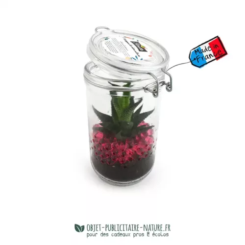 Plante verte dans un bocal en verre à personnaliser