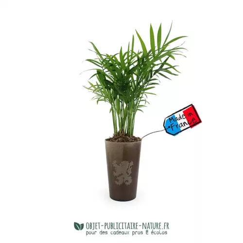 Plante verte dans un grand gobelet en lin publicitaire