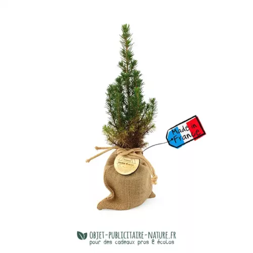 Sapin dans un pochon en jute à personnaliser