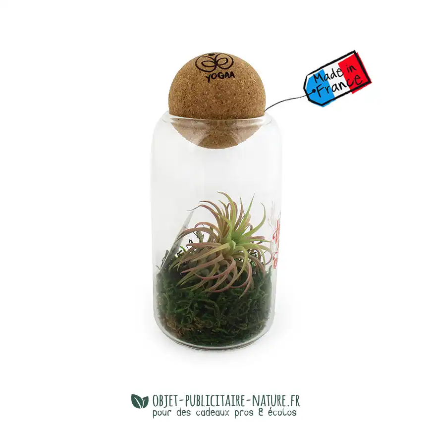 Terrarium en verre avec boule en liège personnalisable