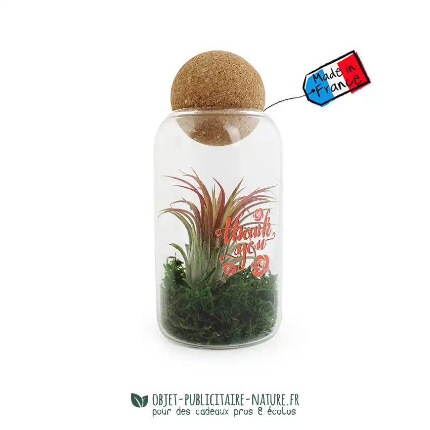 Terrarium en verre avec boule en liège à personnaliser