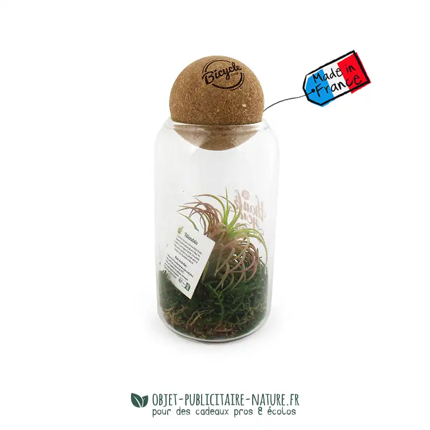 Terrarium en verre avec boule en liège publicitaire