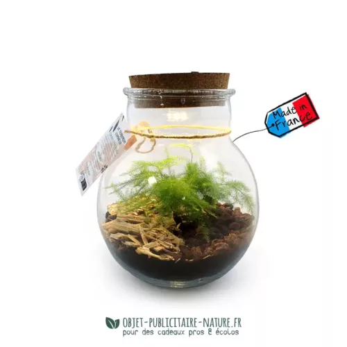 Terrarium en verre rond lumineux à personnaliser