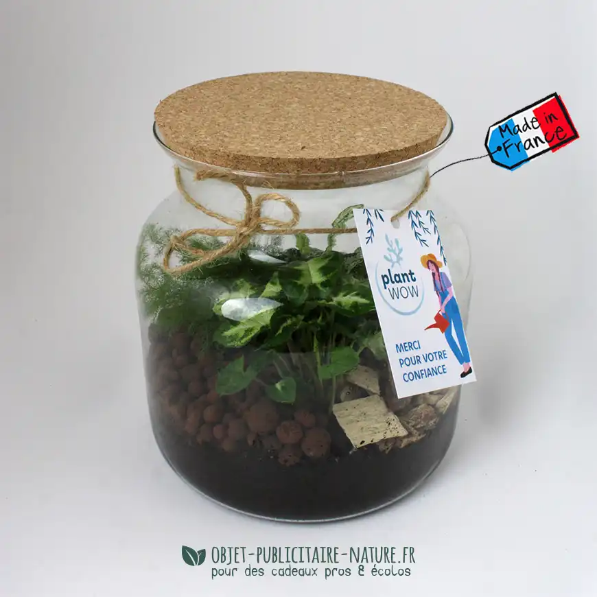 Terrarium en verre relaxant publicitaire