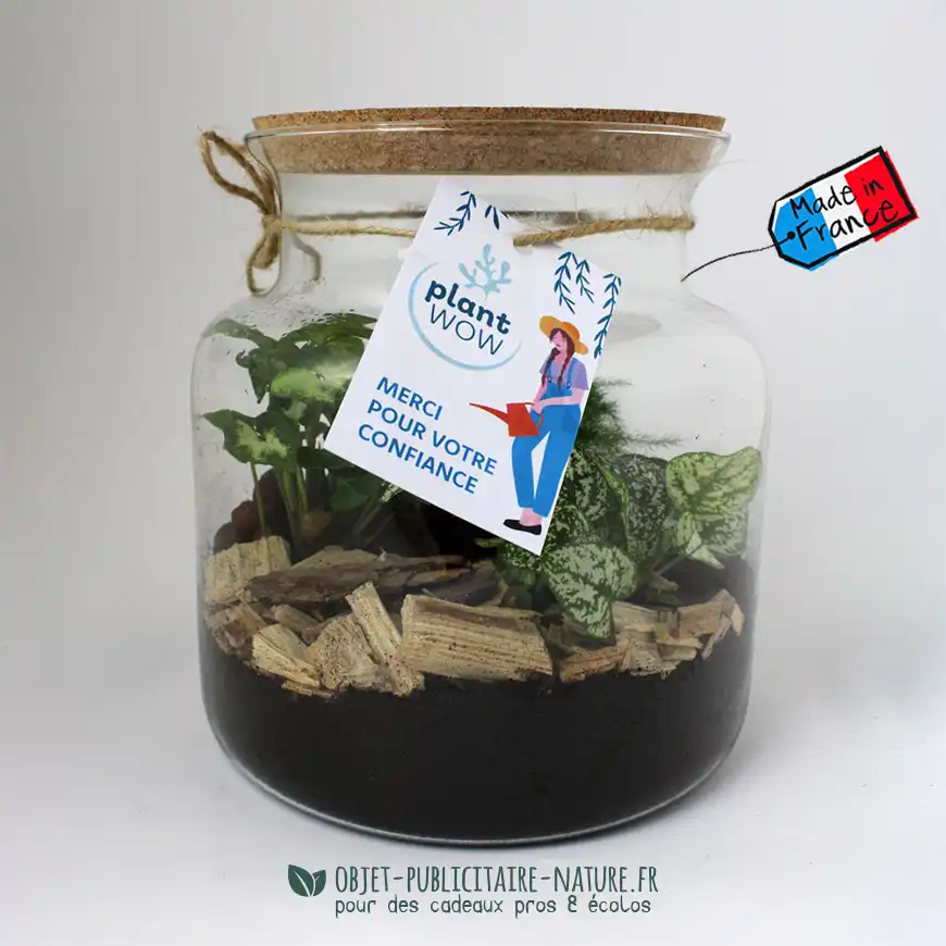 Terrarium en verre relaxant personnalisé