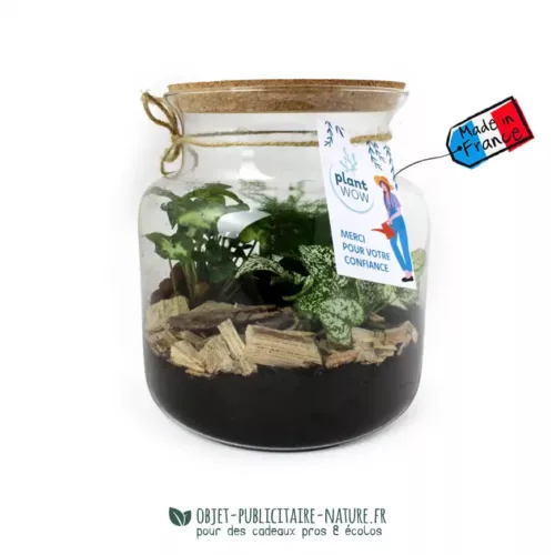 Terrarium en verre relaxant personnalisable