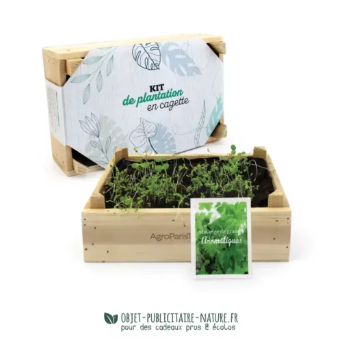 Kit de plantation publicitaire dans cagette en bois personnalisable
