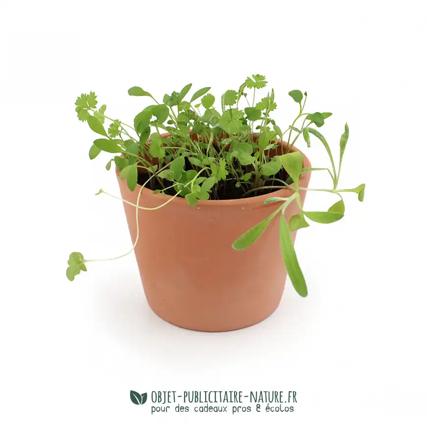 Kit de plantation publicitaire pot en terre cuite personnalisable