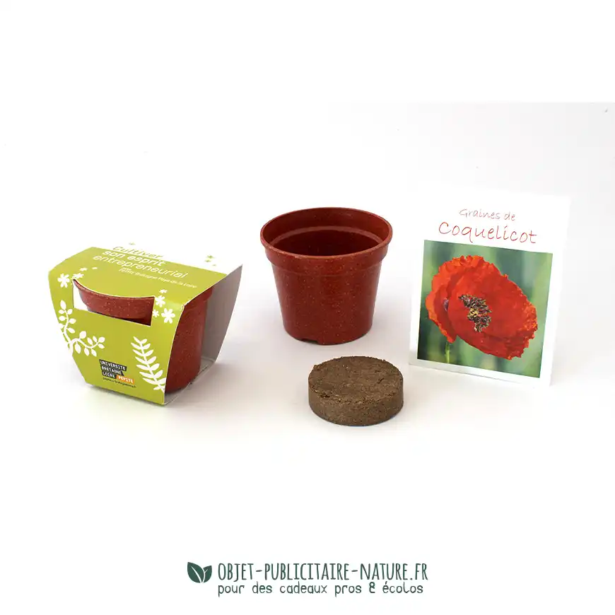 Kit de plantation biodégradable pot paille de riz coloré personnalisé