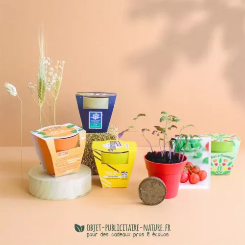 Kit de plantation publicitaire pot en bambou coloré