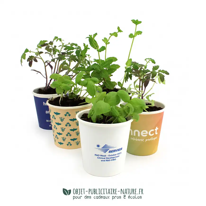 Kit de plantation publicitaire pot en carton personnalisé